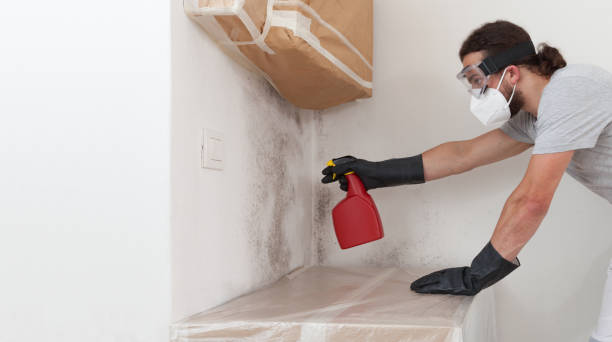 Professional Bathroom Mold Removal technician working in Park Ridge, IL