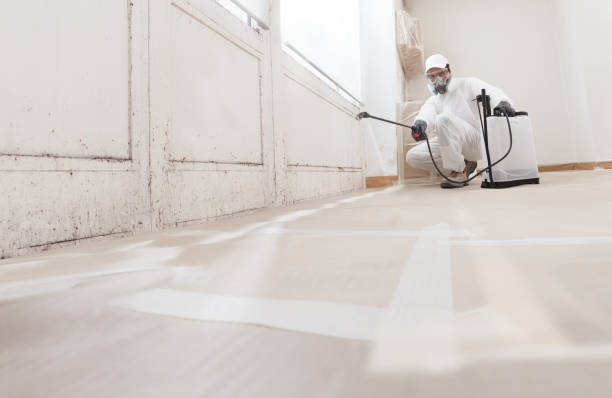 24/7 Emergency Bathroom Mold Removal experts in Park Ridge, IL